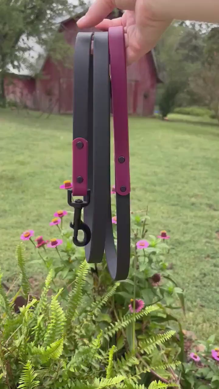 Two-Tone Dog Leash: Waterproof & Odor-Free Leash, Custom Colors