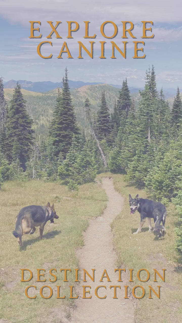 Helmand Destination Series: Leash and Collar SET